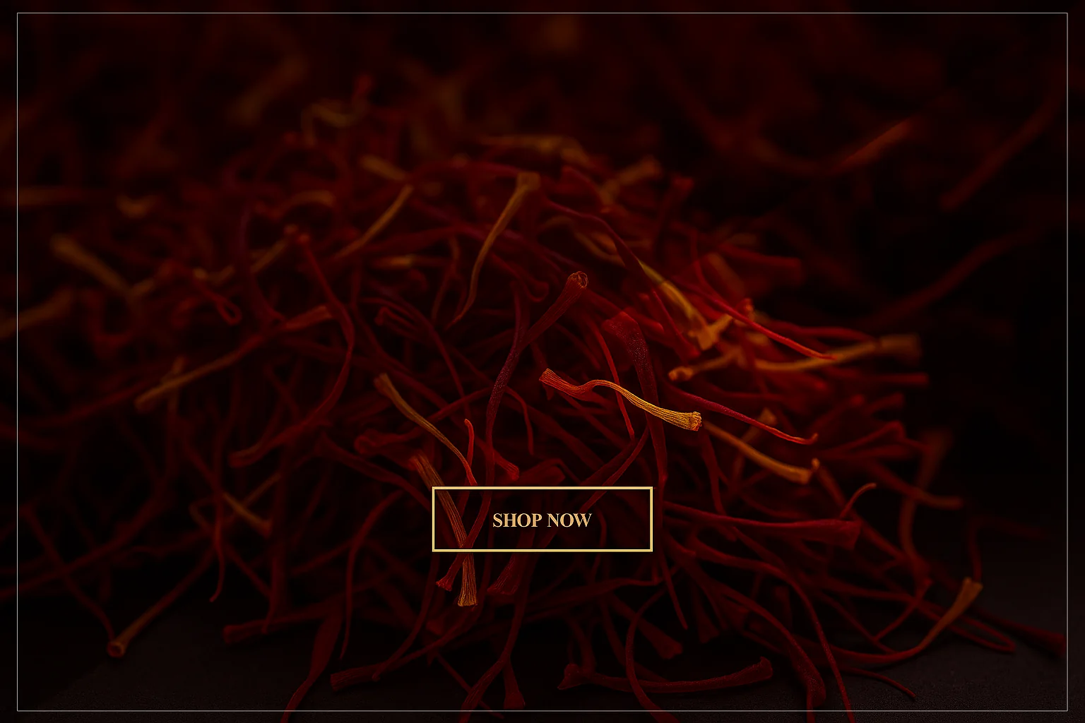 11saffron